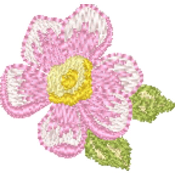 330600 Thumbnail
