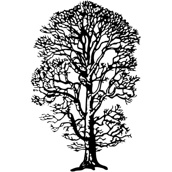 TREE0021 Thumbnail