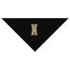 SOL'S Bandana Thumbnail